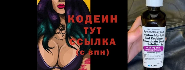 трава Новозыбков