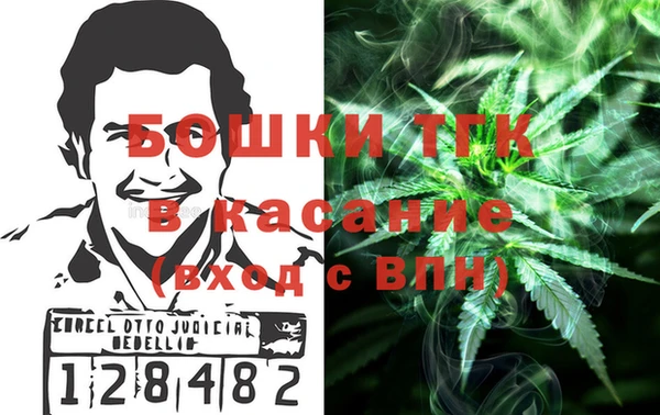 спиды Новодвинск